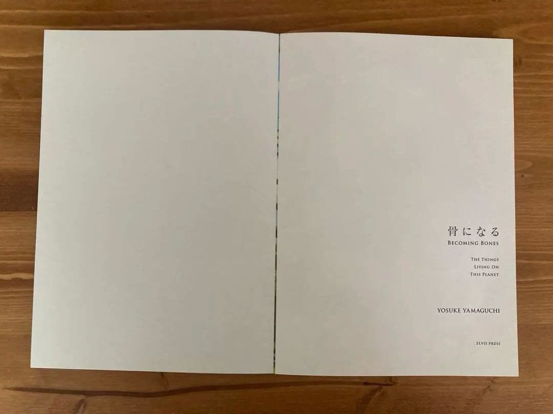 Yosuke Yamaguchi Become a Bone Art Book 96 Pages 9.8×7.2in Illustrated