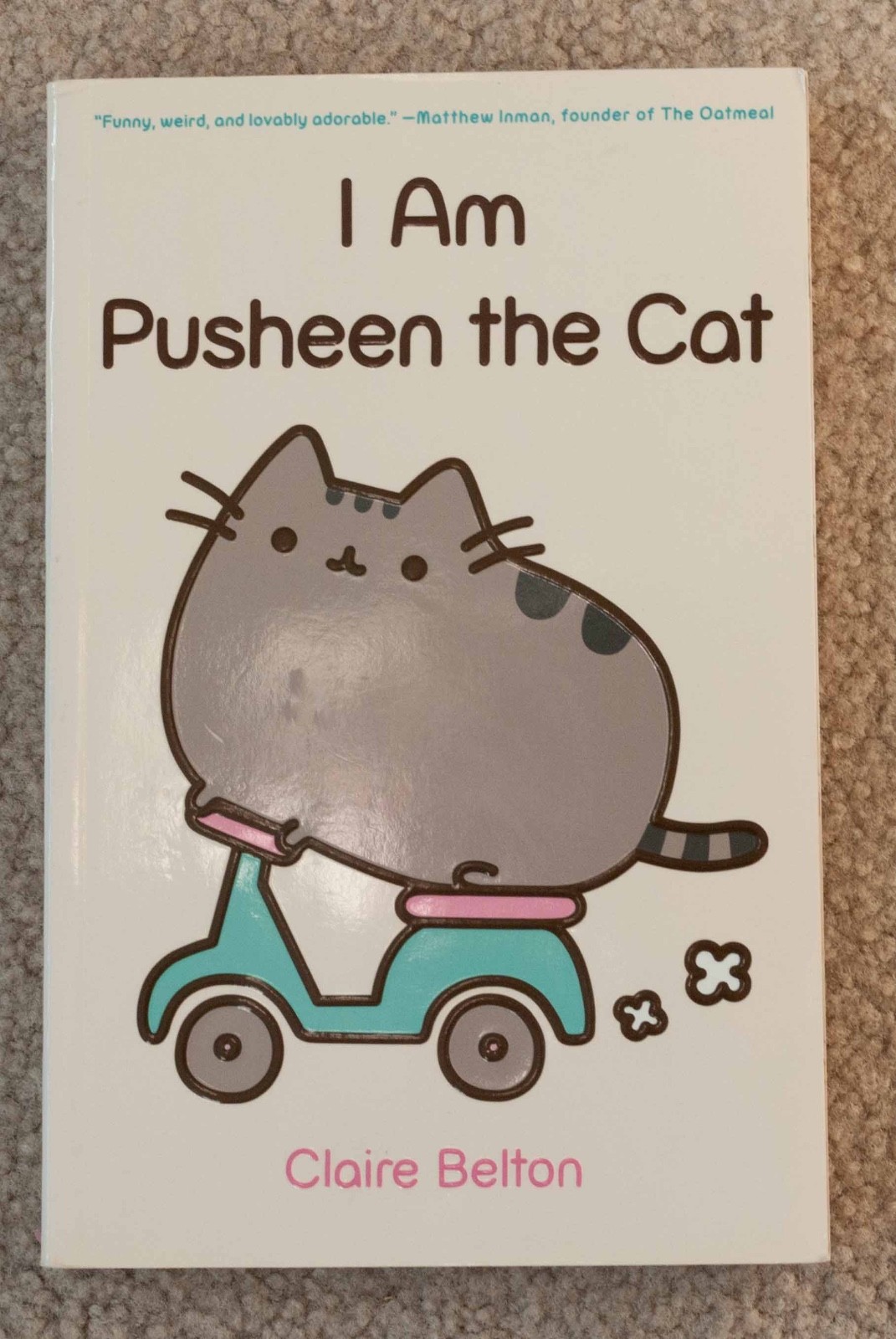 I Am Pusheen the Cat by Claire Belton – Paperback, 175 pages