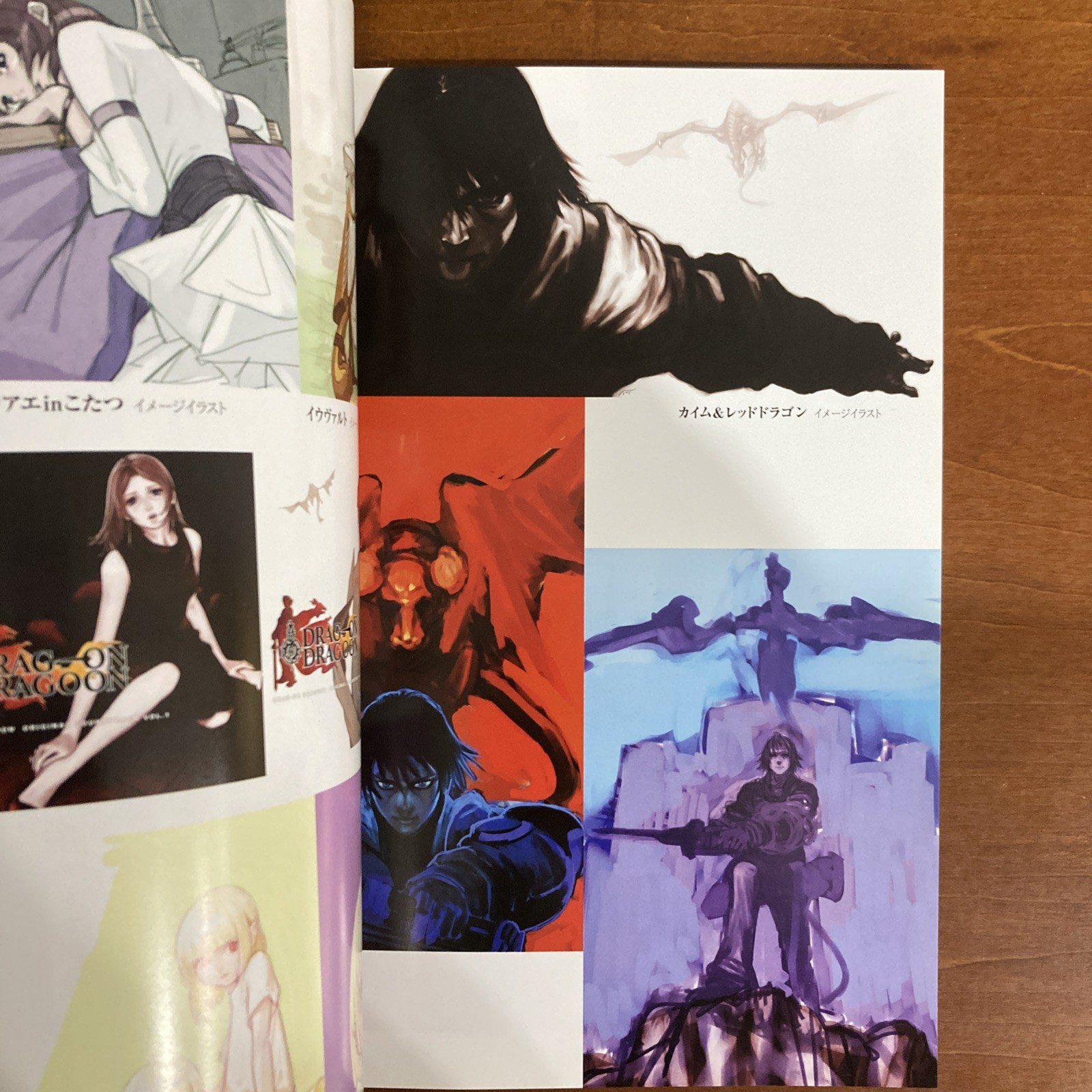 Drag-on Dragoon Art BookThe Materials Illustration
