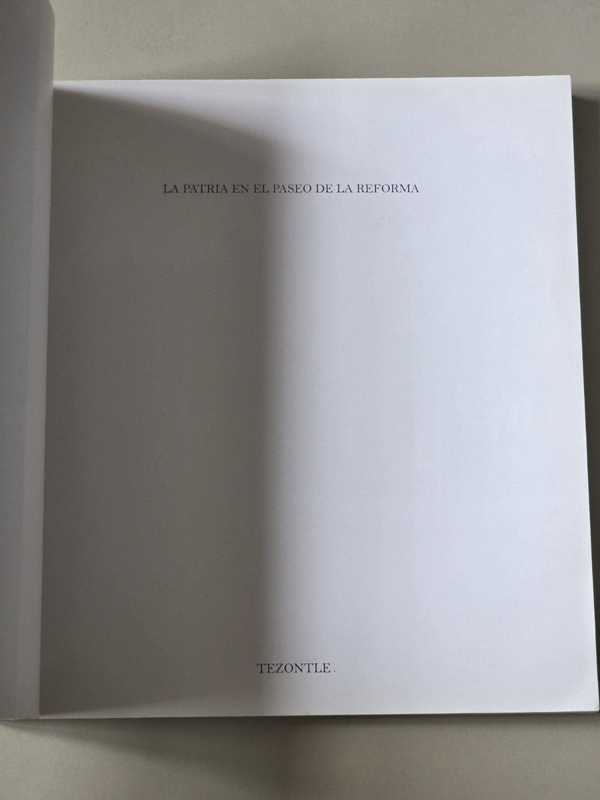 Patria en el Paseo de la Reforma by Carlos Martínez Assad (2005, Hardcover)