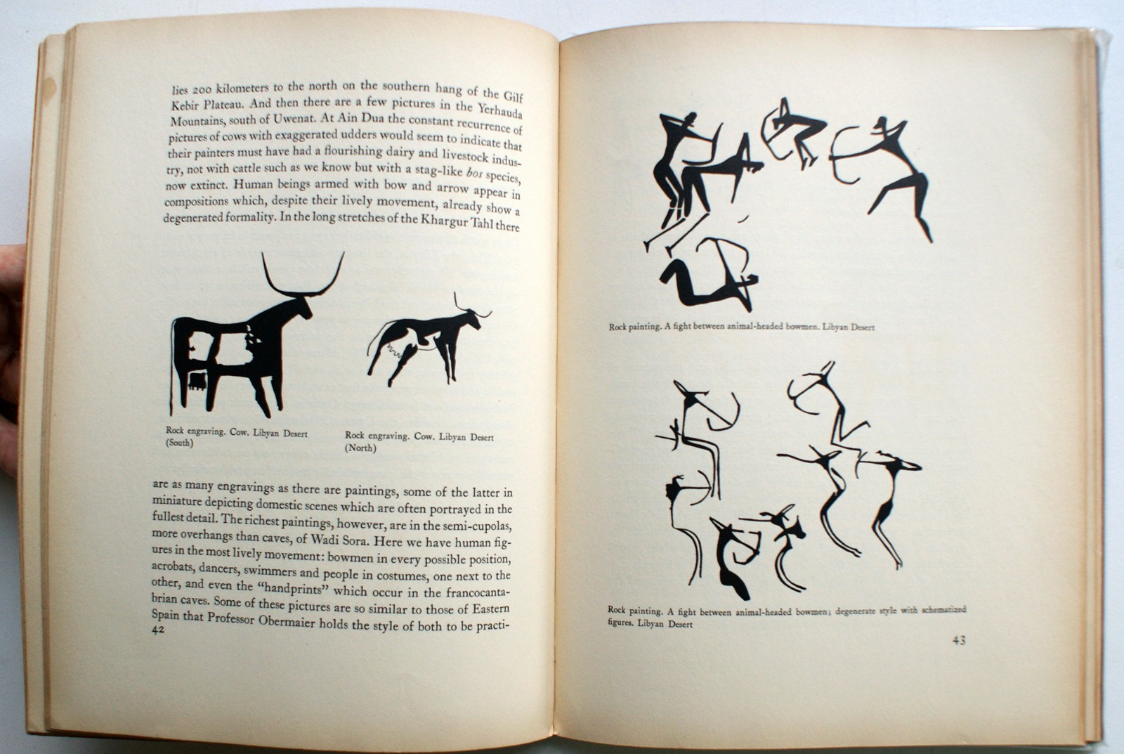 Prehistoric Rock Pictures in Europe & Africa 1937 Museum of Modern Art NY [371]