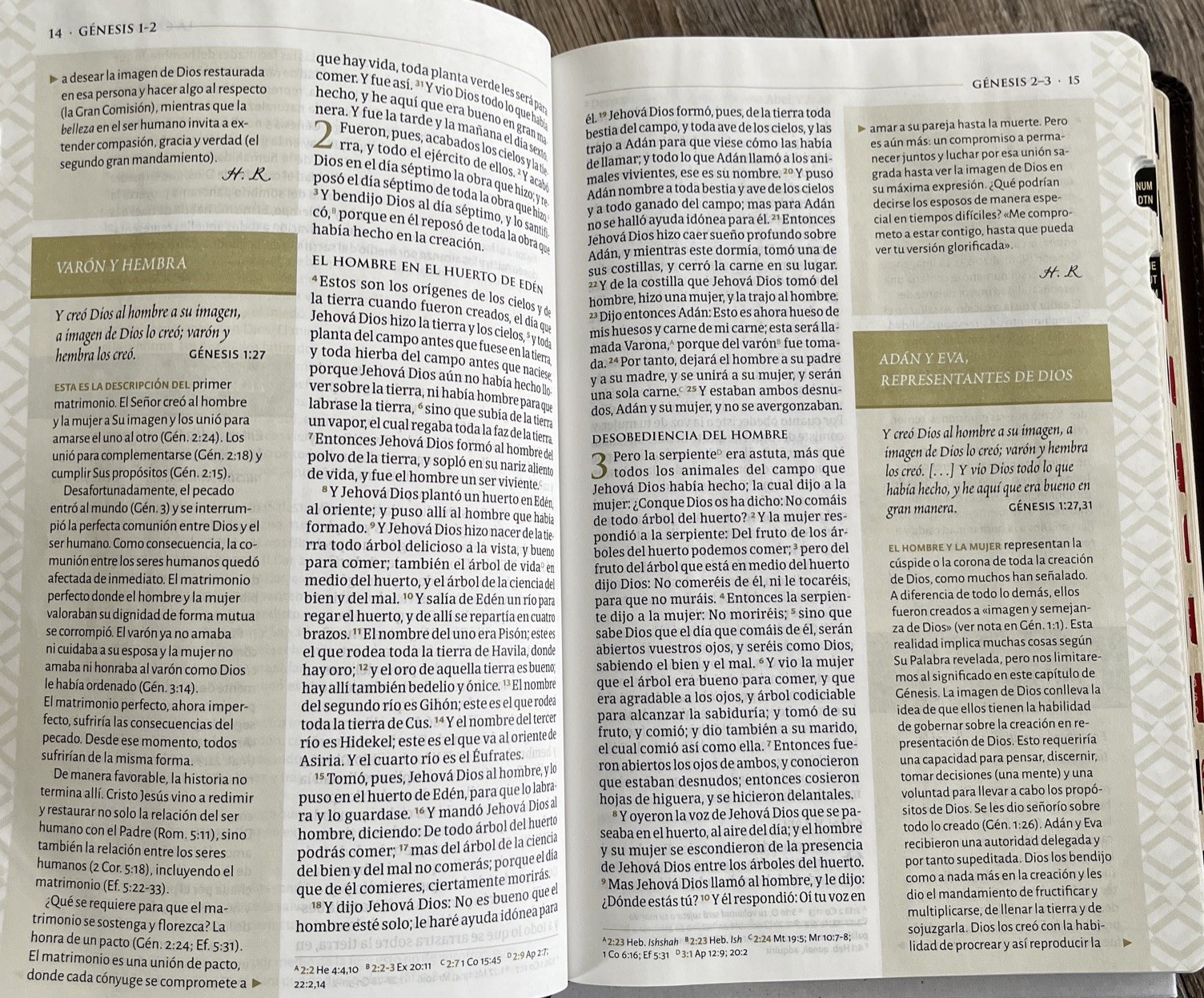 Biblia tematica RVR 1960 de Estudio, Marrón OscuroPiel Fabricada indice