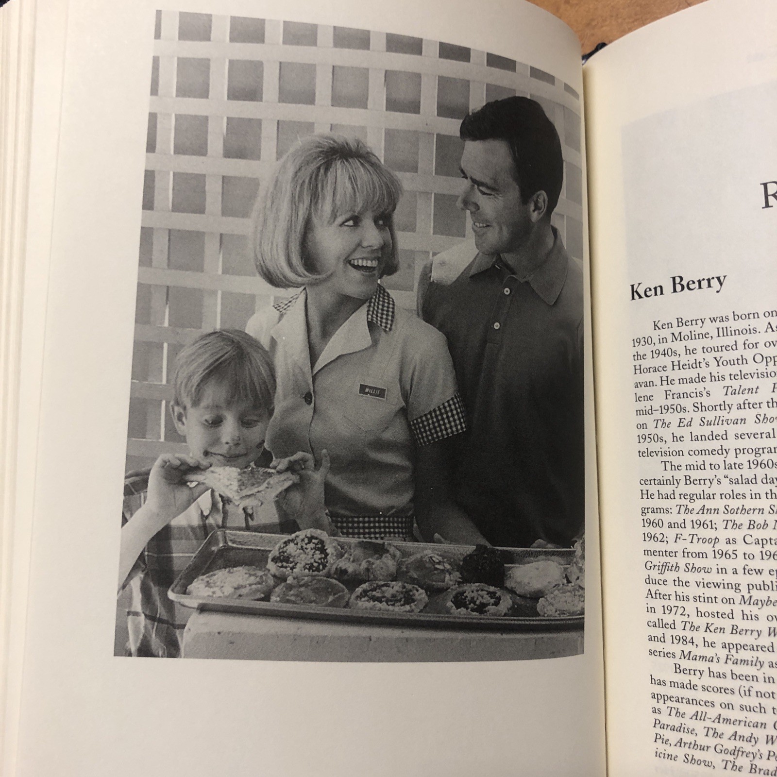 A Guide to Television&rsquo;s Mayberry R.F.D. by David Fernandes Dale Robinson HC