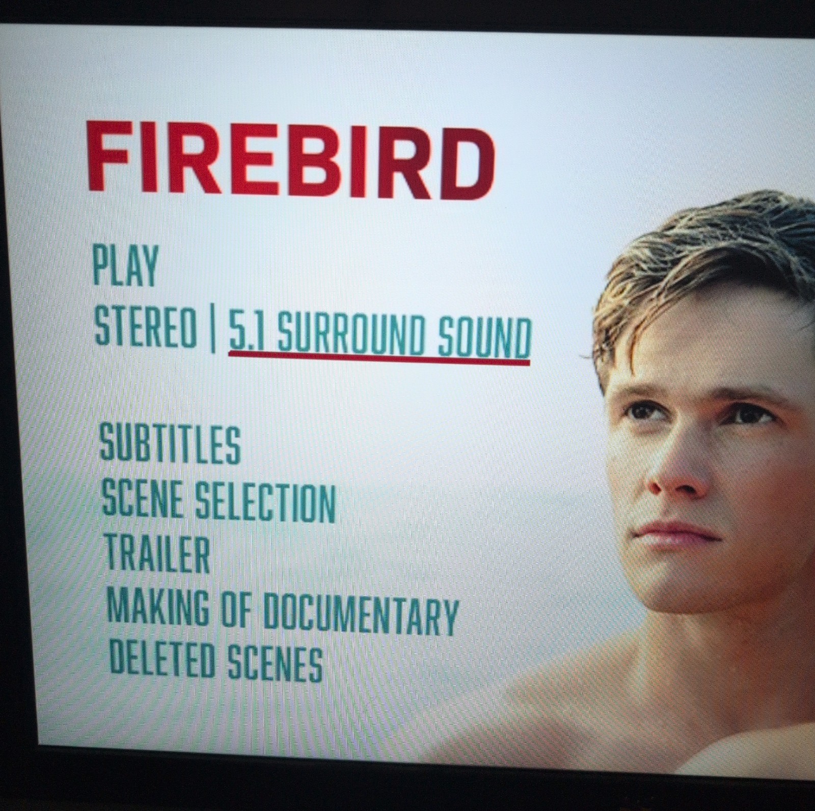 FIREBIRD DVD – Official Collector&rsquo;s Edition LGBTQ+ Film – Peeter Rebane – Tested