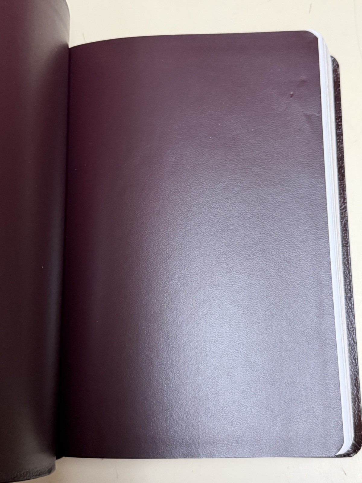 The Jack Van Impe Prophecy Bible/ KJV [ Red Letter Edition Special Edition