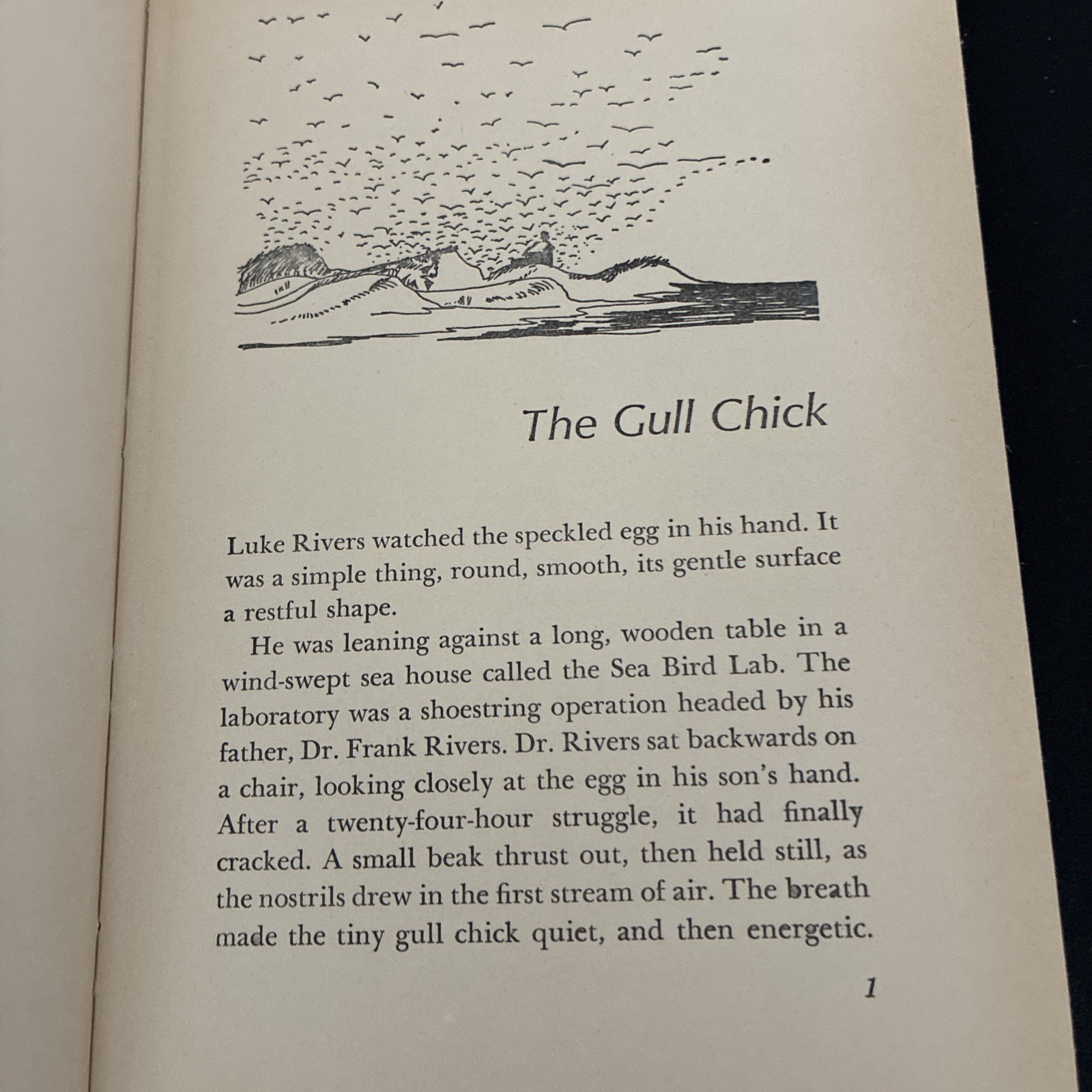 GULL NUMBER 737 by Jean Craighead George, 1964 Young America Book Club Edition