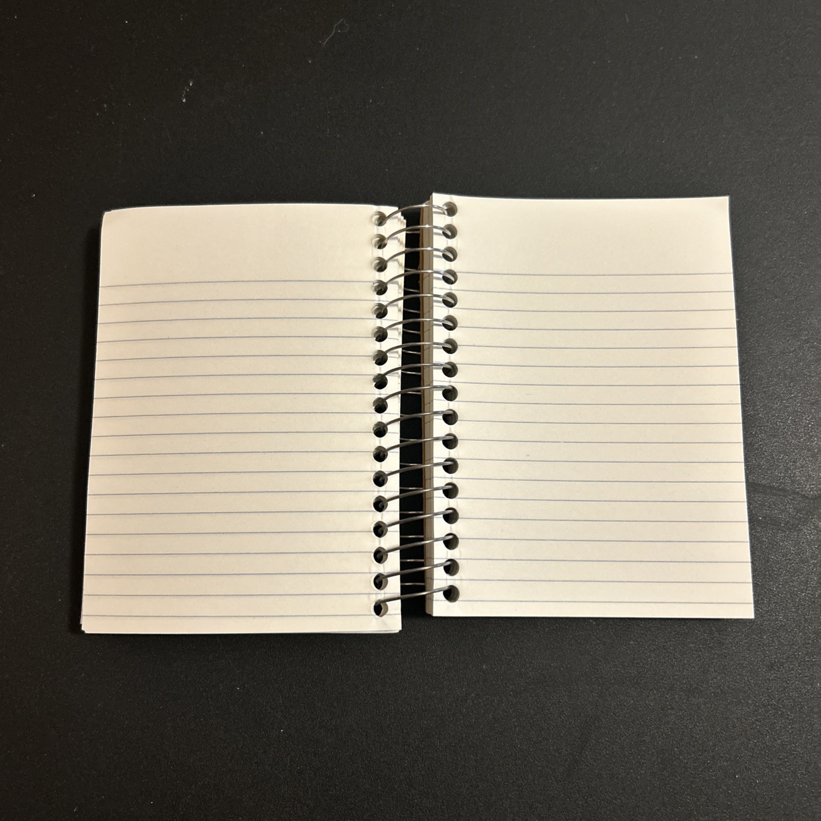 Vintage Goosebumps Mini Notebook Say Cheese And Die Rare. #4. 174/180 Pages Used