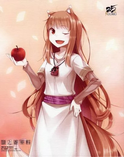 Spice and Wolf Holo Canvas Art Board Original Costume KADOKAWA 8.5×7.8in