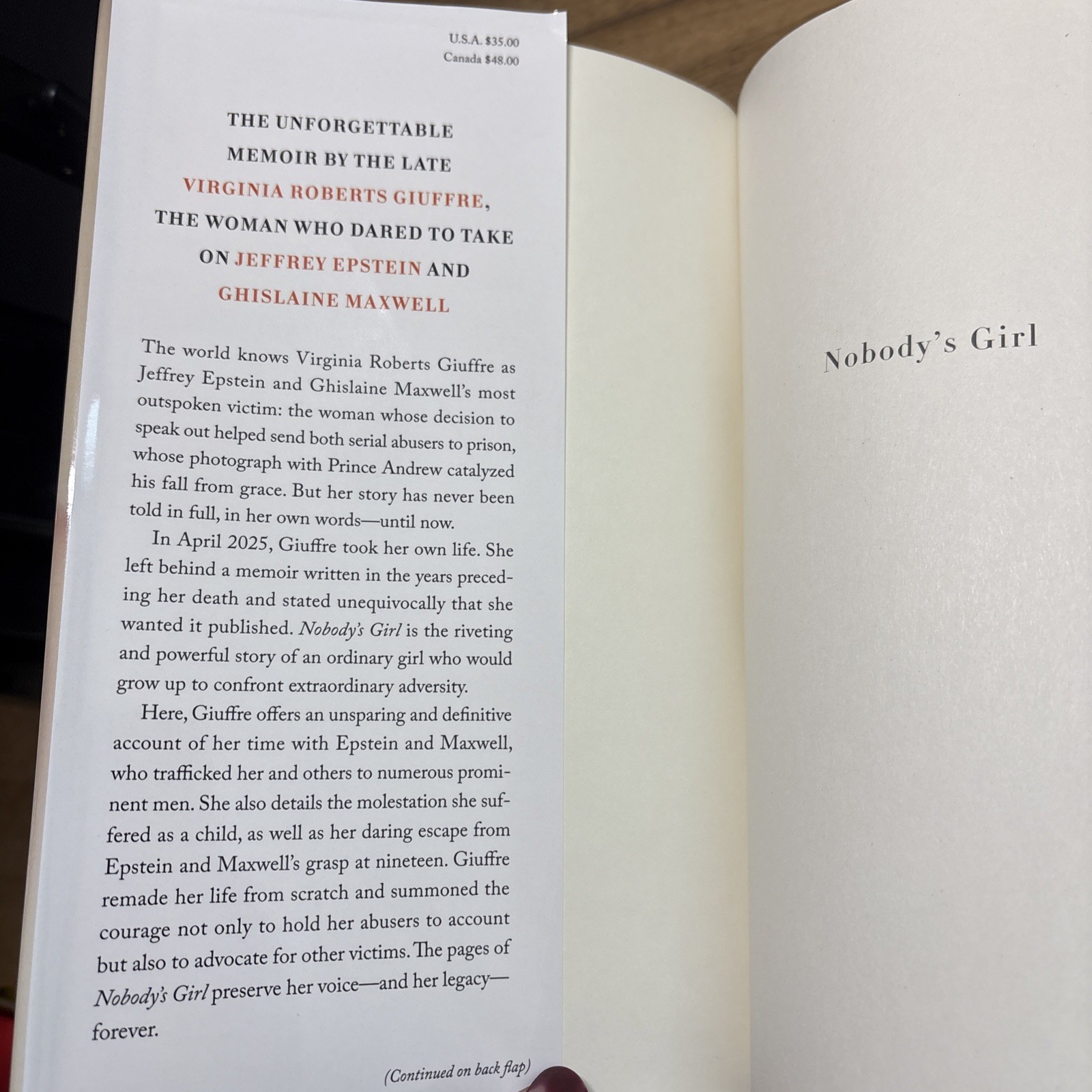 Nobody&rsquo;s Girl : A Memoir of Surviving Abuse and Fighting for Justice by Virginia