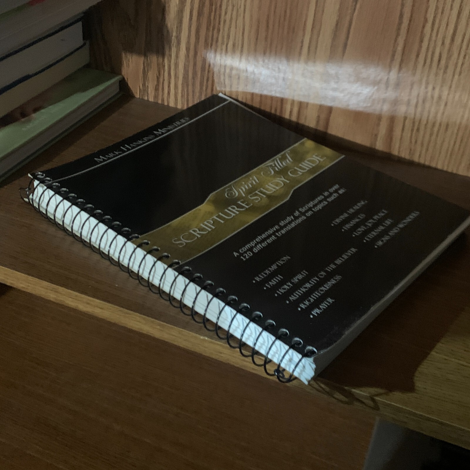 SPIRIT-FILLED SCRIPTURE STUDY GUIDE: A COMPREHENSIVE STUDY by Mark Hankins Minis