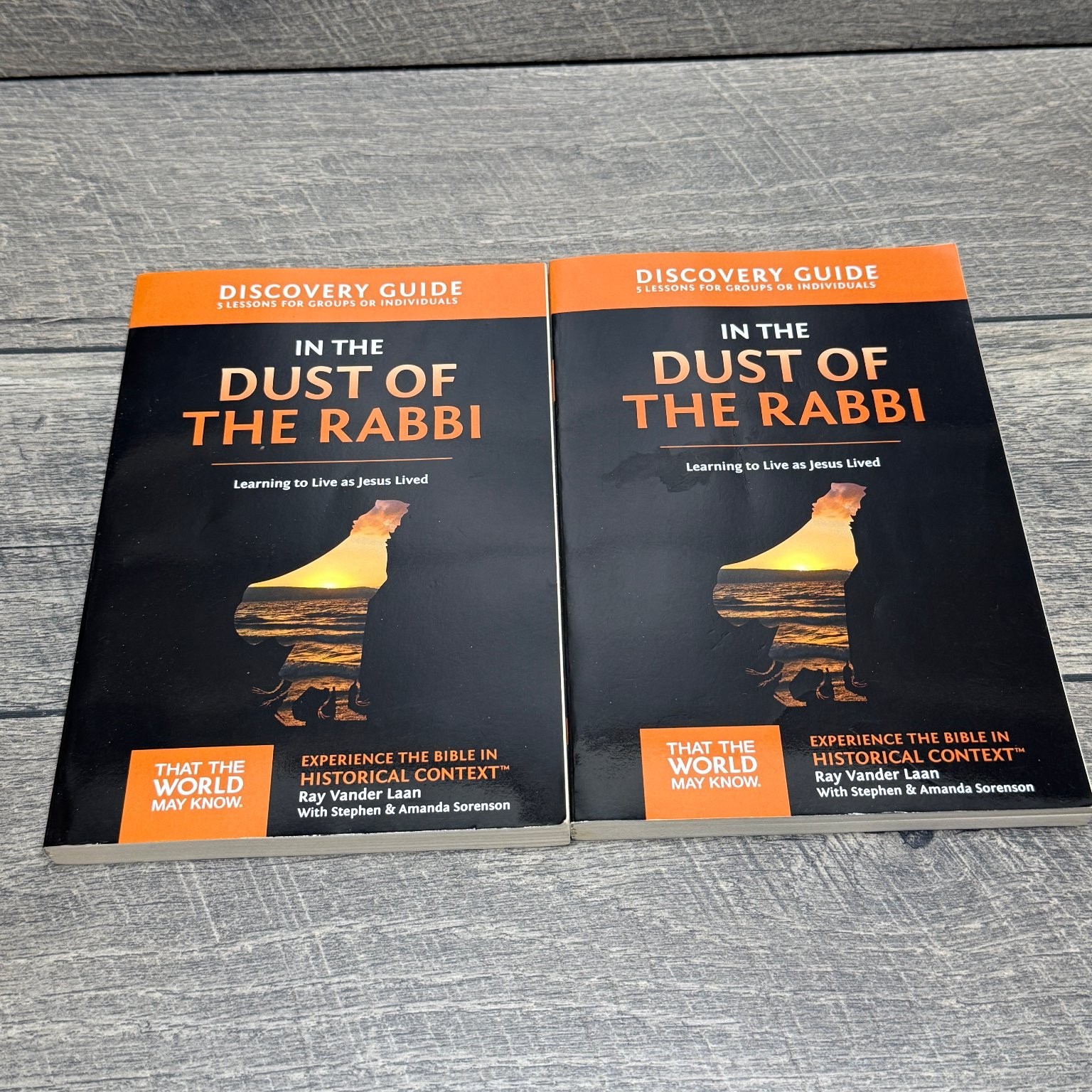 Lot of 2 In The Dust of The Rabbi Ray Vander Laan 2013 Discovery Guide Zondervan