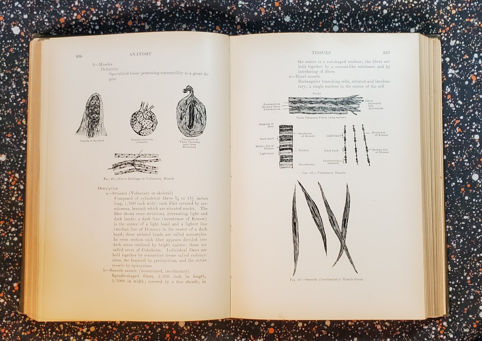 Medicine And The Allied Sciences, Samuel Fomon, Volume 1, 1919, Hardcover