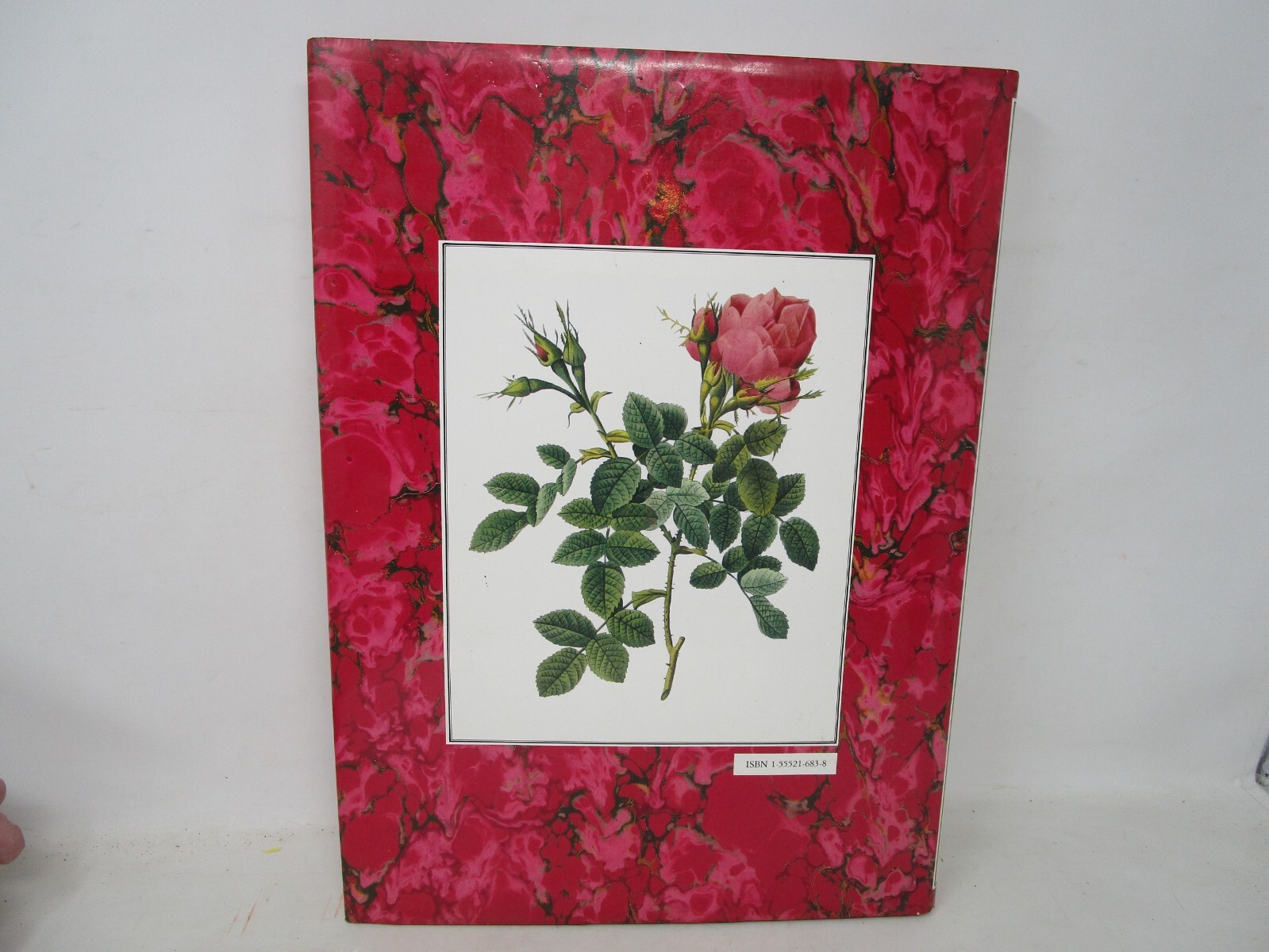 P. J. Redoute Redoute&rsquo;s Roses 167 Full Page Paintings 1990