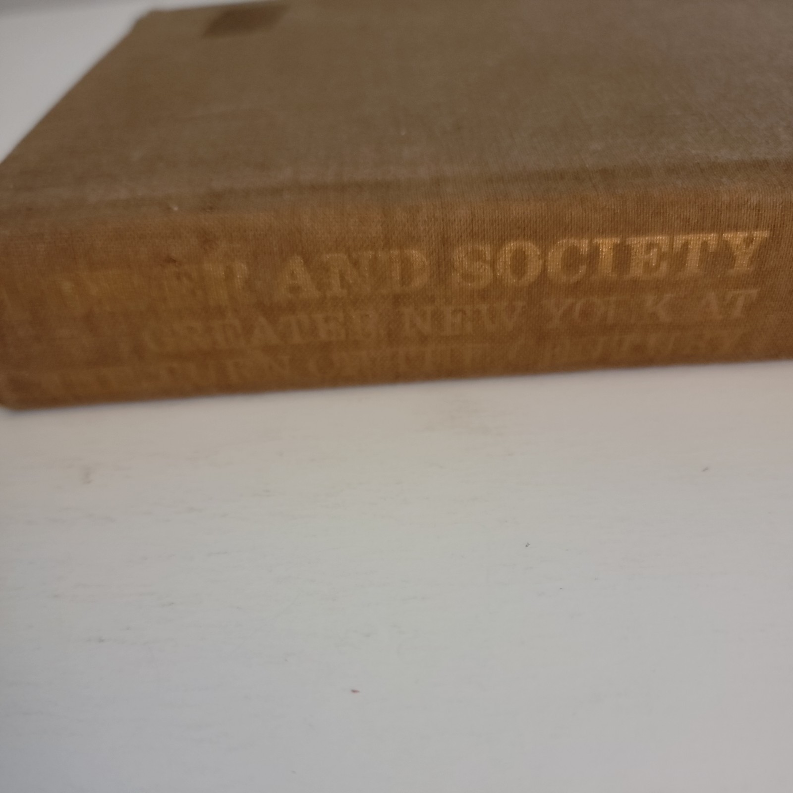 Power and Society: Greater New York at the Turn of the Century *VG* Genealogy