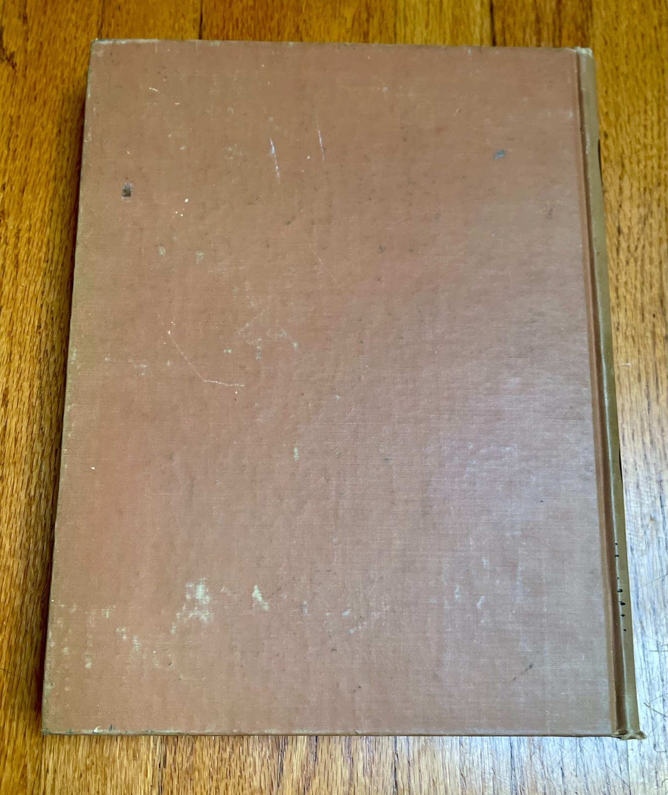 Vintage UCLA Yearbook Southern Campus 1947 Vol. 28