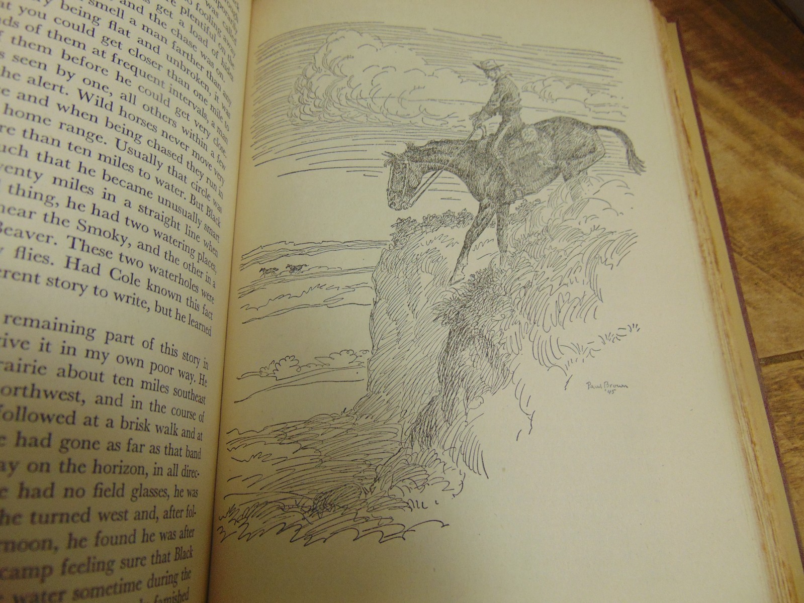 Great Horse Stories 1st Ed selected by Page Cooper Doubleday & Co 1946 HC