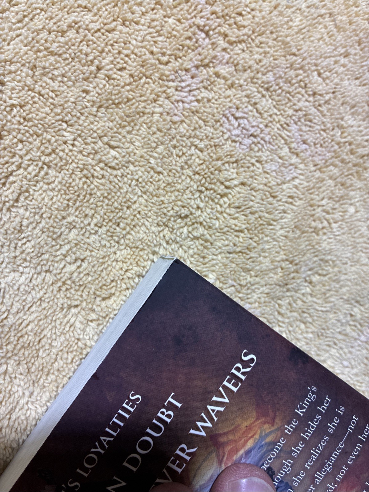 Crown of Midnight OOP Cover – Sarah J. Maas Paperback – 5th Printing