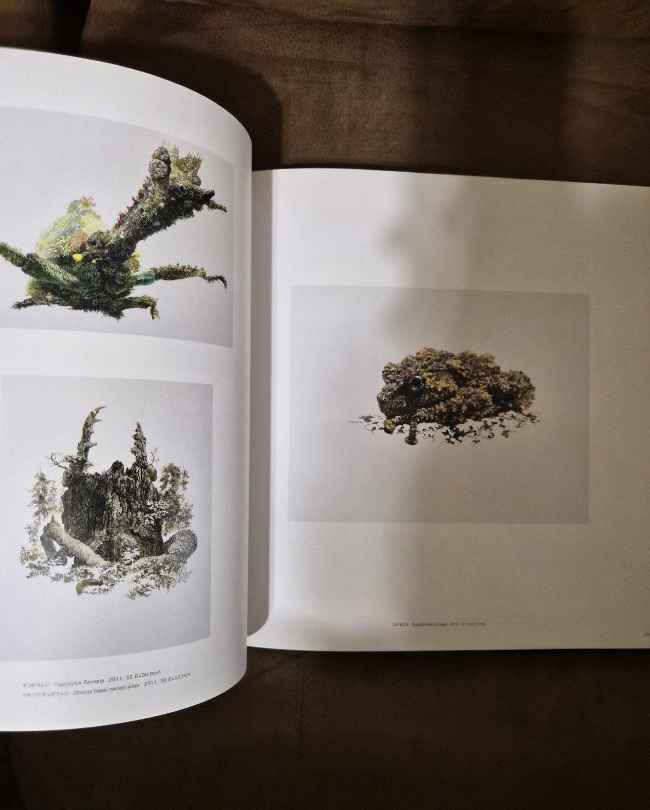 The Pen Manabu Ikeda Japanese Art Book 2017 Technical Pen Painting Japan
