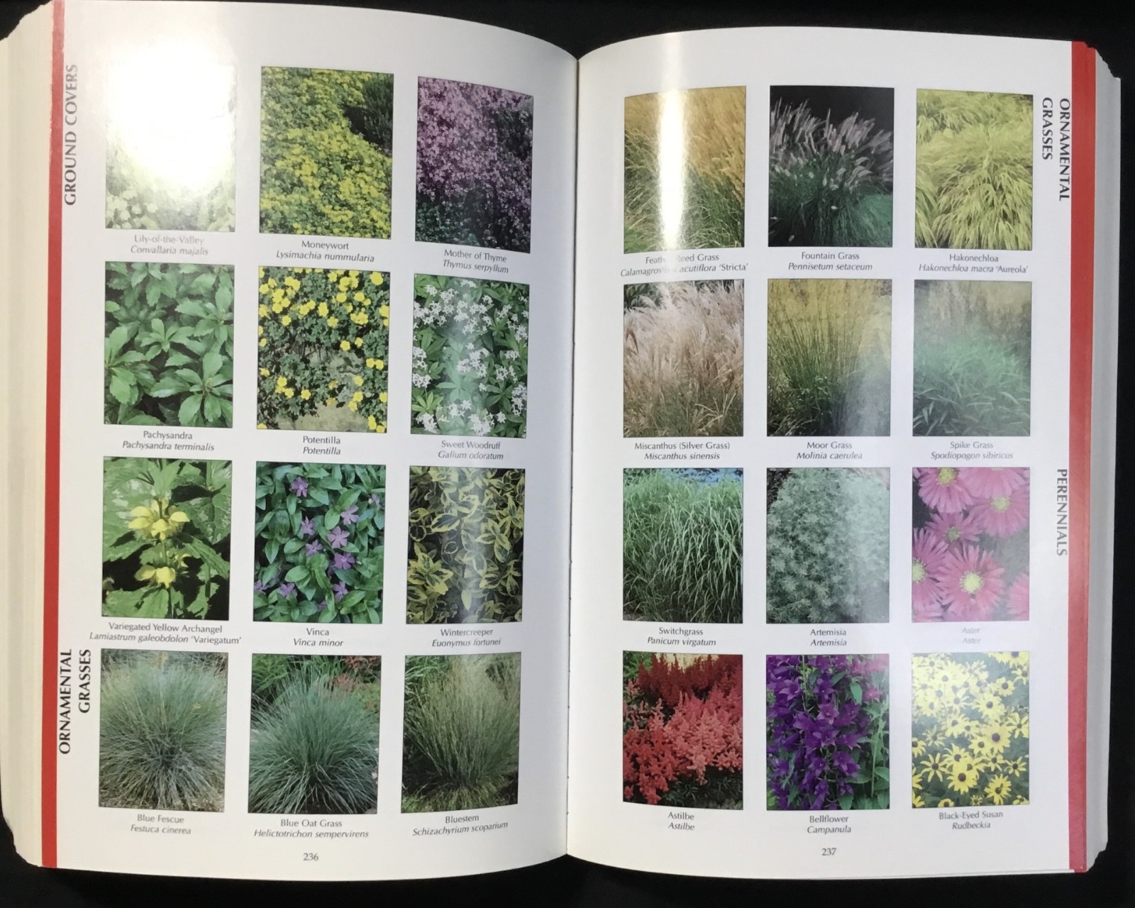Book, MN Gardener&rsquo;s Guide, Paperback, M. Myers, Cool Springs Press, 2001