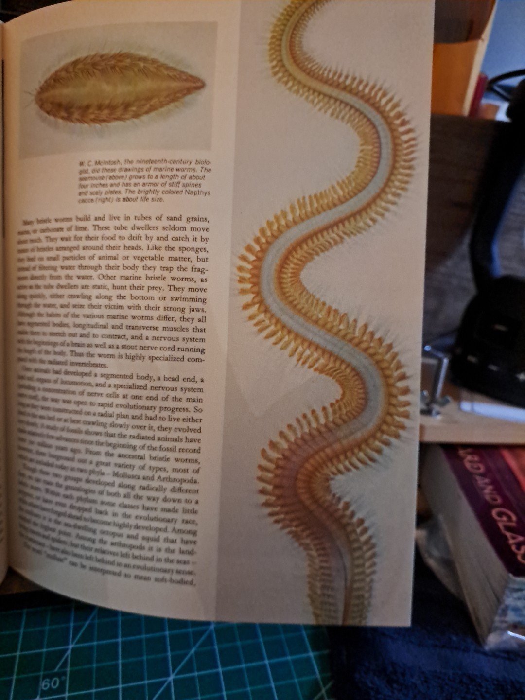 Seas,Maps,And Men Atlas-History of Man&rsquo;s Exploration of the Oceans Free ship