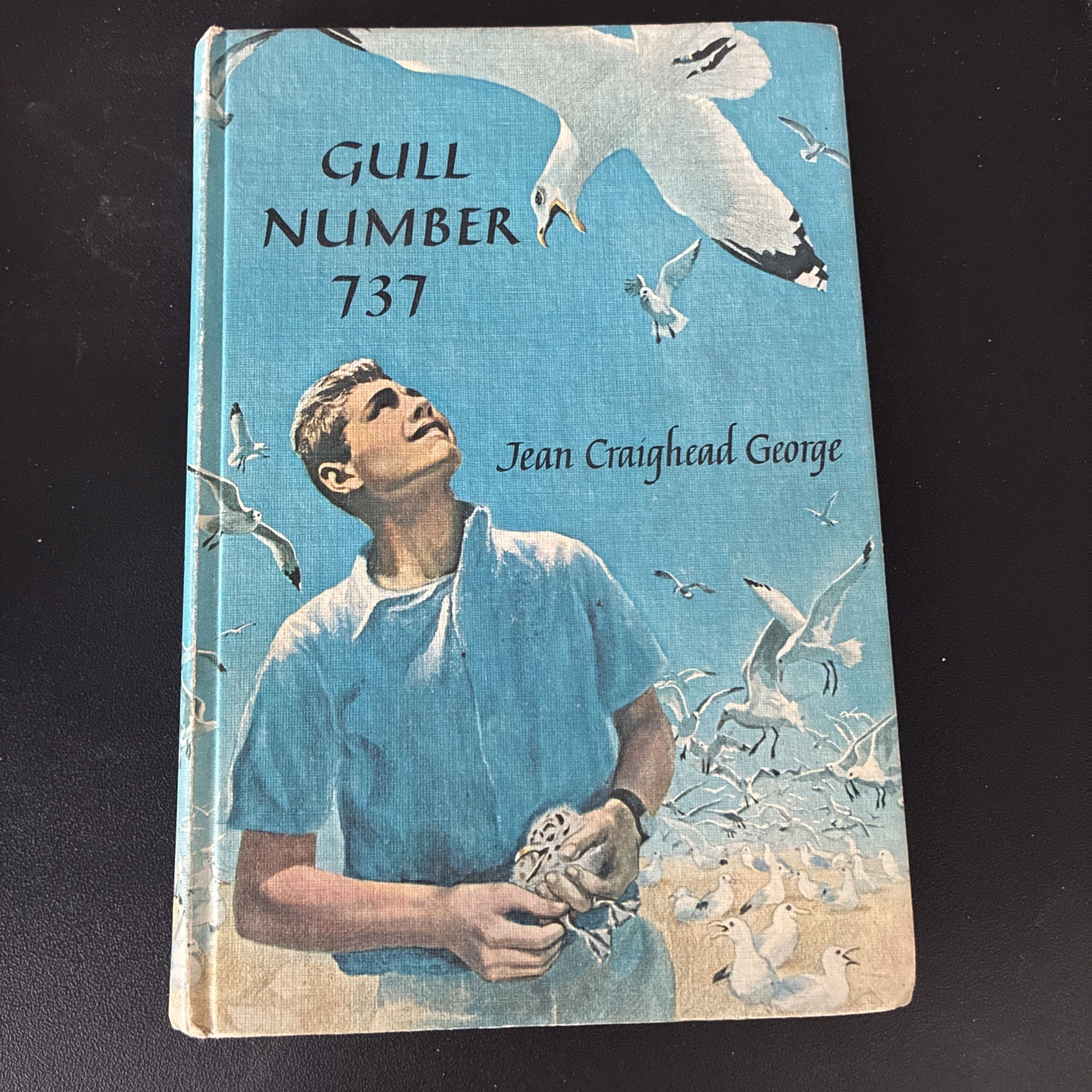 GULL NUMBER 737 by Jean Craighead George, 1964 Young America Book Club Edition