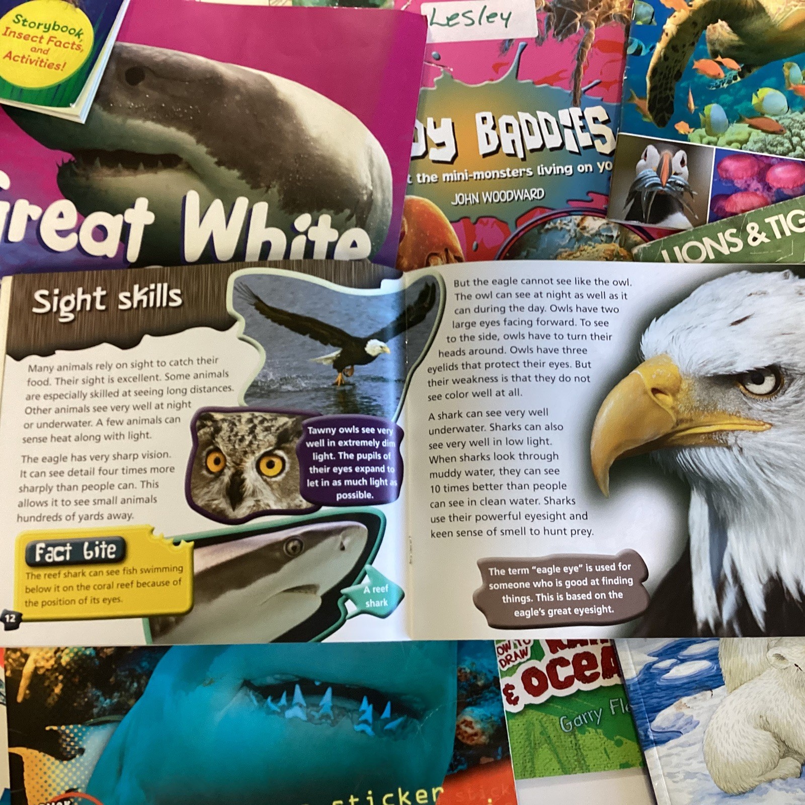 Children&rsquo;s Random Animal Science Nonfiction Education Classroom 20 Book Lot